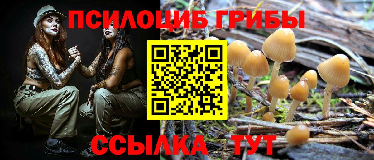 Галлюциногенные грибы мицелий  купить закладку  Вход с VPN  Бердск  Галлюциногенные грибы мухоморы 
